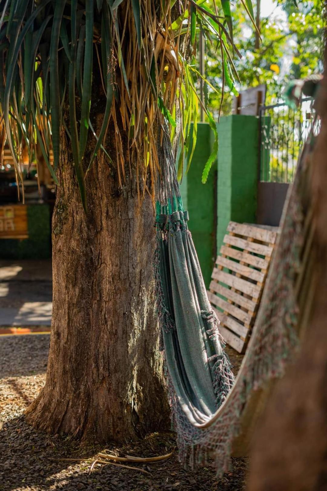 Benteveo Hostel Iguazu Puerto Iguazú Kültér fotó